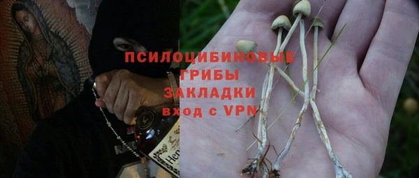 соль ск Протвино