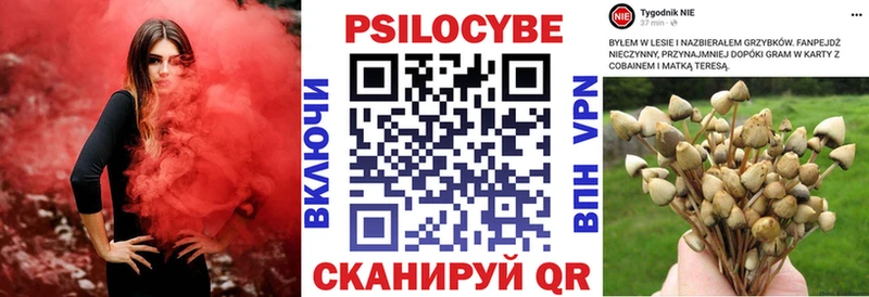 Галлюциногенные грибы GOLDEN TEACHER  Амурск 