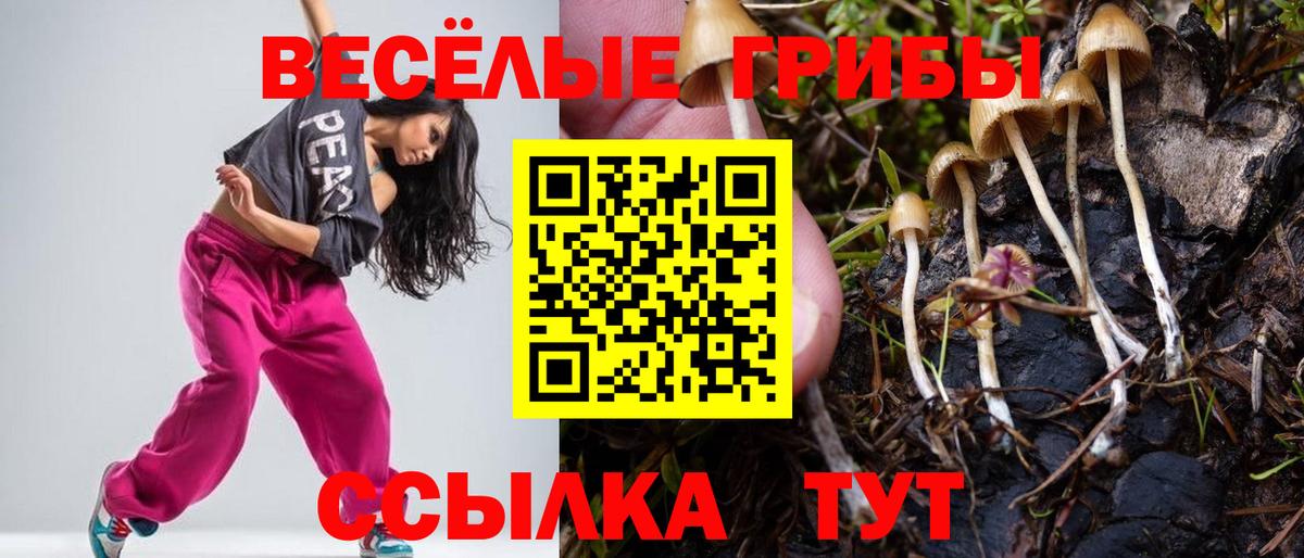 Амурск  Псилоцибиновые грибы мицелий  Вход с VPN 