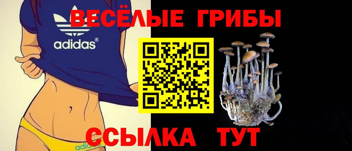 Псилоцибиновые грибы Magic Shrooms Амурск
